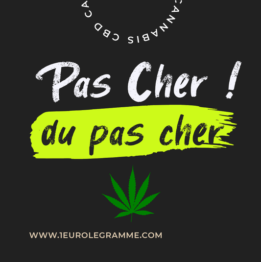 Quel cannabinoïde est similaire au THC ?