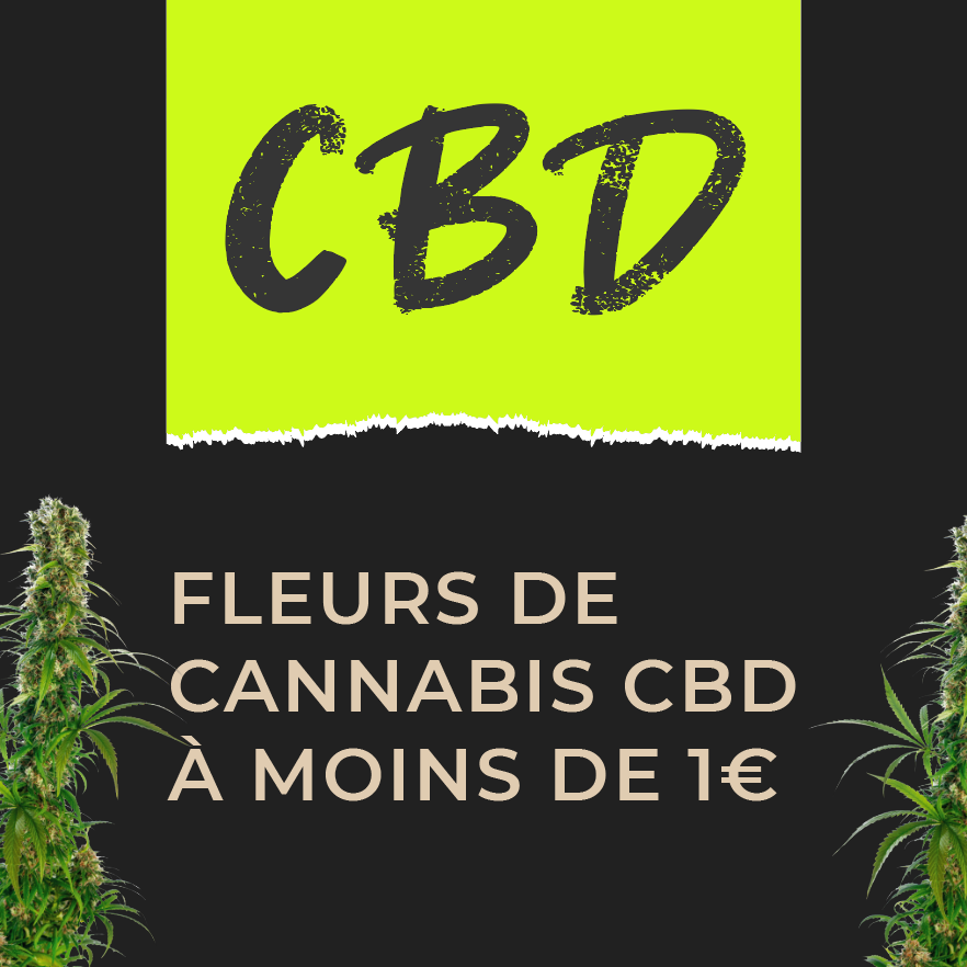 Les effets du CBD sur la douleur - CBDpasCHER - CBD PAS CHER - LA FERME DU CBD - lafermeducbd - Lafermeducbd code promo - cbd 1 euro le gramme